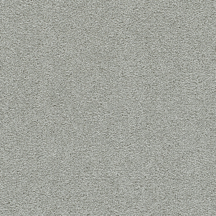 Clear Skies I Polyester Pinetop 110 Carpet Textured 1