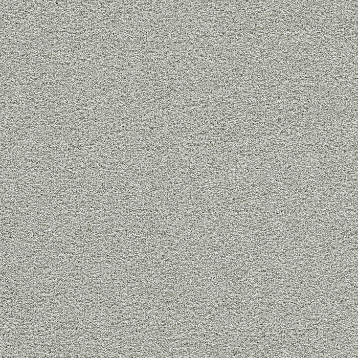 Clear Skies I Polyester Dove Cove 2529 Carpet Textured 1