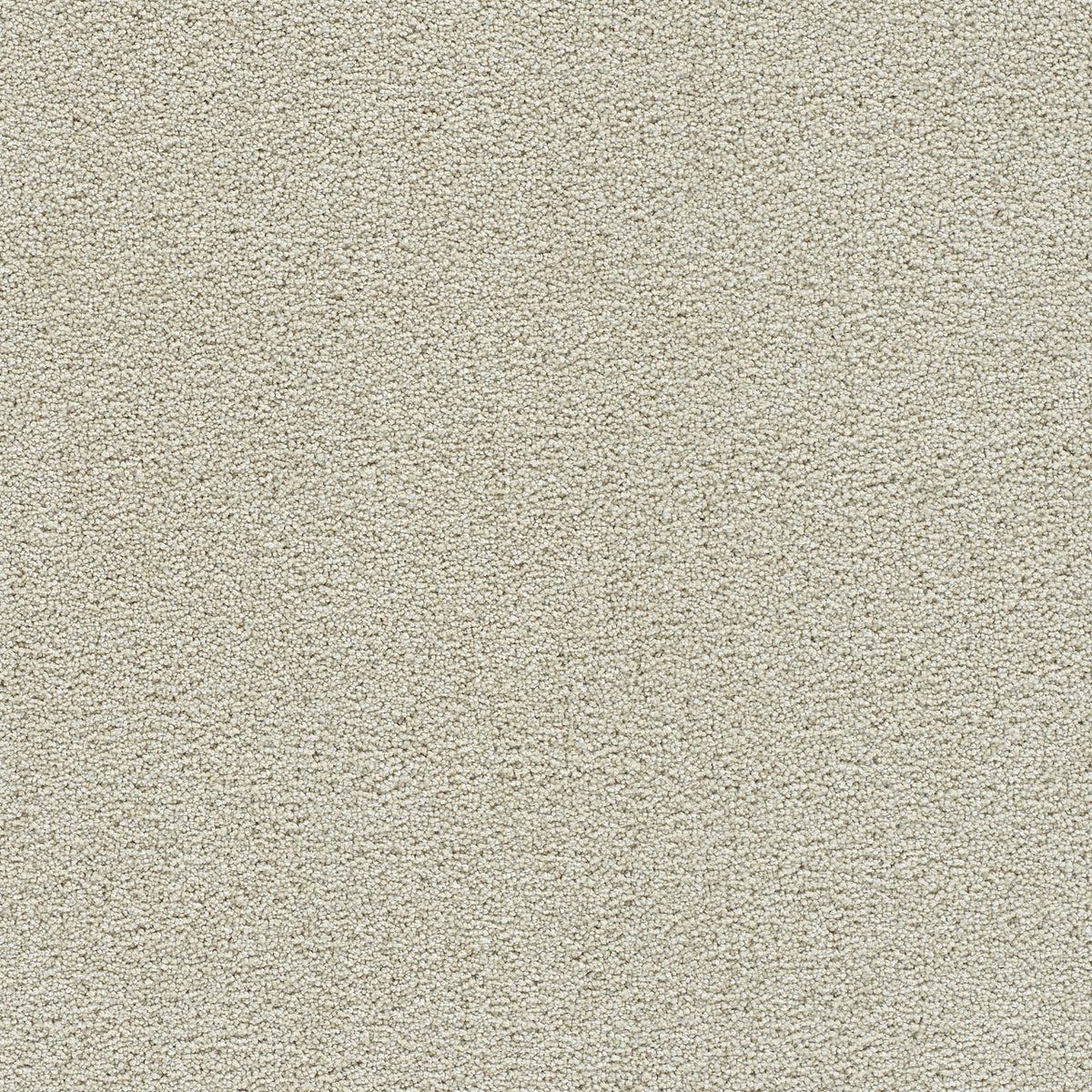DreamWeaver Clear Skies I 4588 Pale Oak Polyester Carpet — Stone