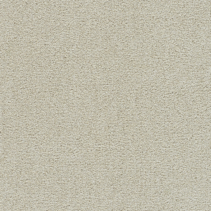 Clear Skies III Polyester Pale Oak 4588 Carpet Textured 1