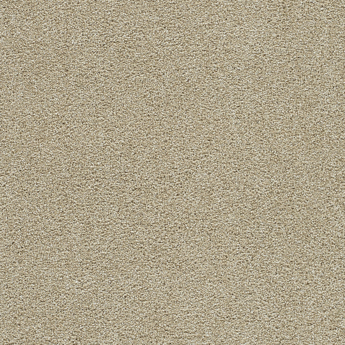 Clear Skies I Polyester Cream 580 Carpet Textured 1