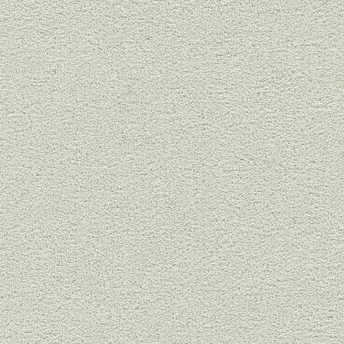 Clear Skies III Polyester Newbury 712 Carpet Textured 1