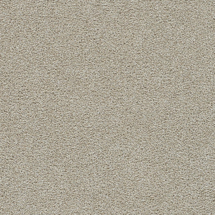 Clear Skies I Polyester Meadowdale 768 Carpet Textured 1