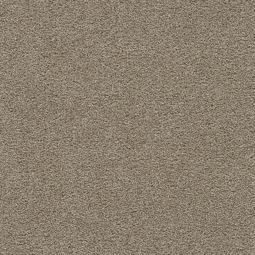 クレアール DreamWeaver Clear Skies I 788 French Oak Polyester Carpet — Stone