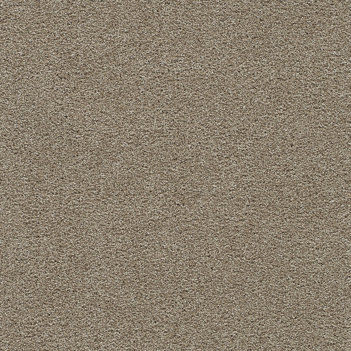 Clear Skies III Polyester Warm Teak 784 Carpet Textured 1