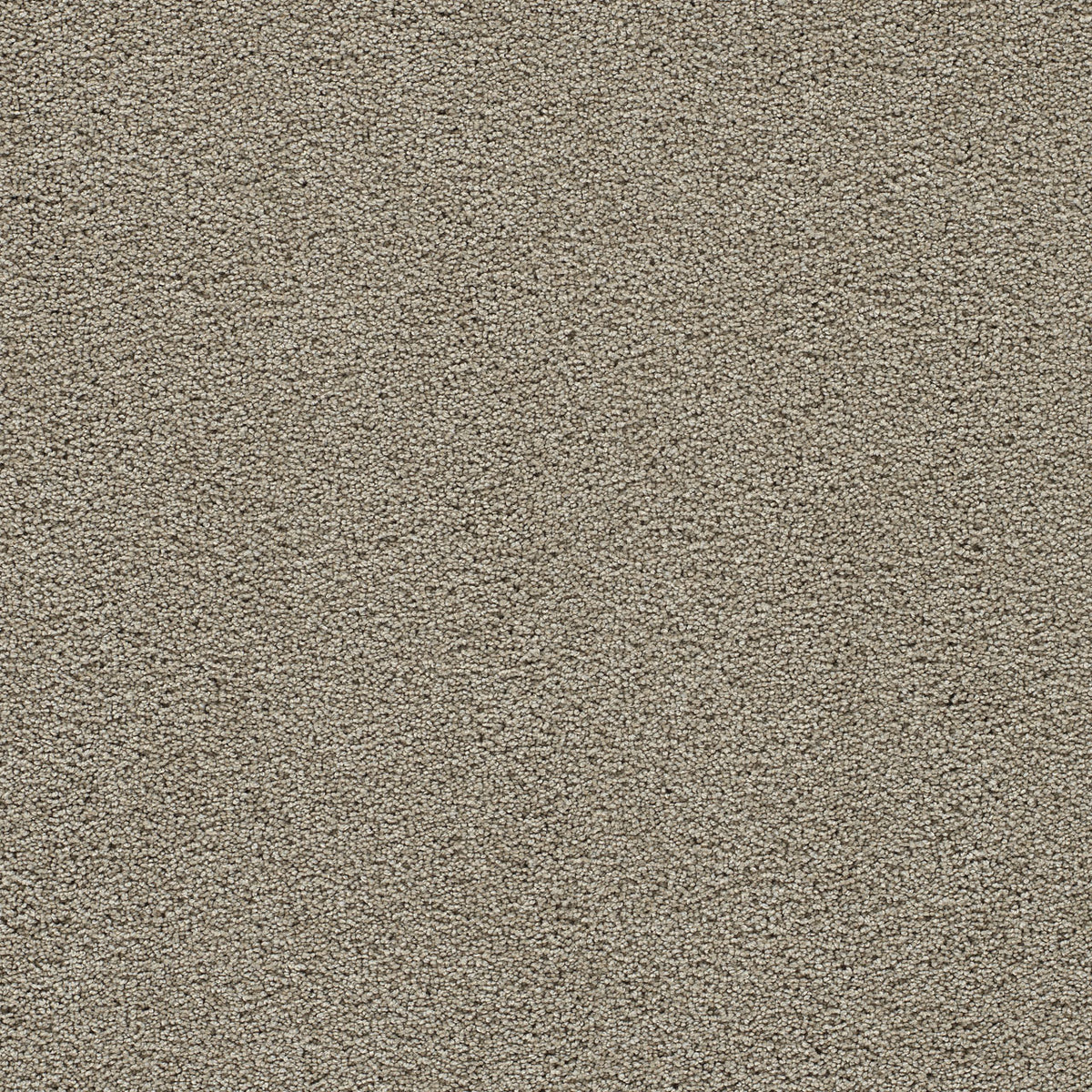 DreamWeaver Clear Skies I 788 French Oak Polyester Carpet — Stone