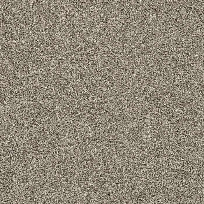 Clear Skies I Polyester French Oak 788 Carpet Textured 1