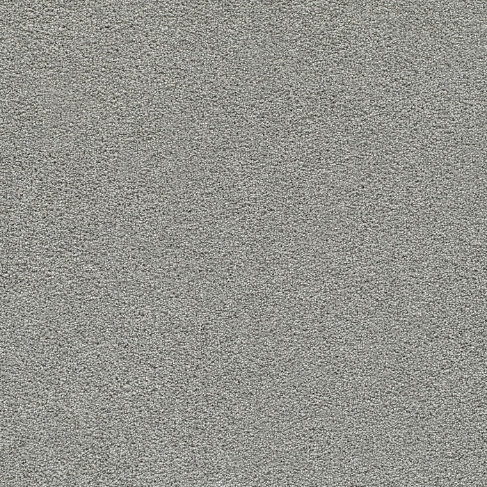 Clear Skies III Polyester Chrome 927 Carpet Textured 1