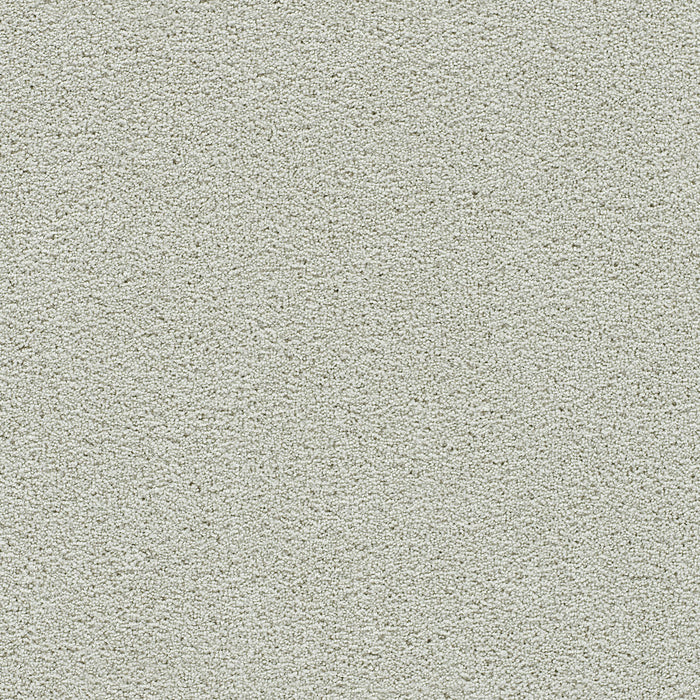 Clear Skies II Polyester Snowbird 944 Carpet Textured 1