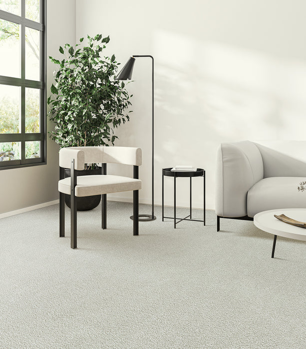 Clear Skies I Polyester Snowbird 944 Carpet Textured 2