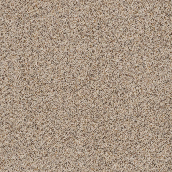 Toast Of The Town Polyester Winter Blanket 106 Carpet Textured 1