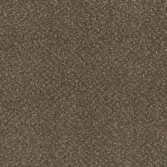 Toast Of The Town Polyester Urbane 264 Carpet Textured 1