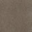 Toast Of The Town Polyester English Stone 276 Carpet Textured 1