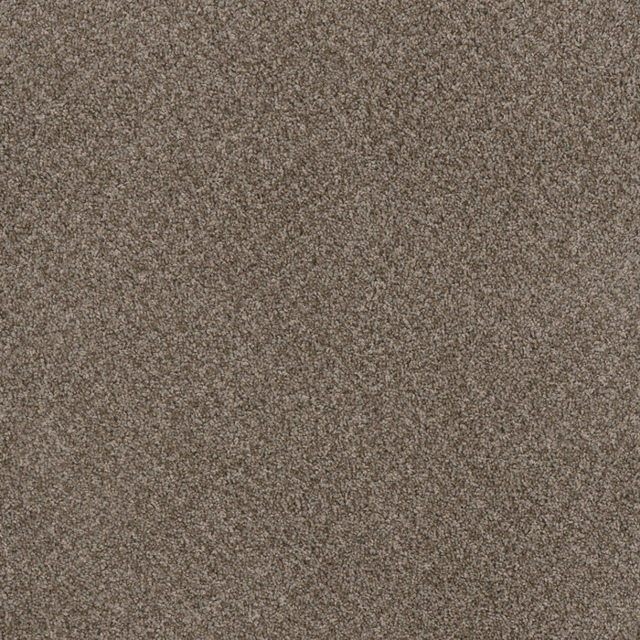 Toast Of The Town Polyester English Stone 276 Carpet Textured 1