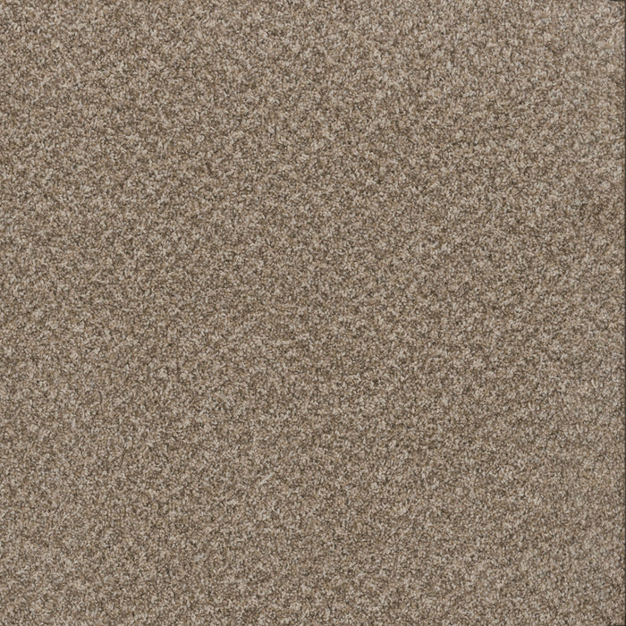 Toast Of The Town Polyester Natural Cotton 309 Carpet Textured 1