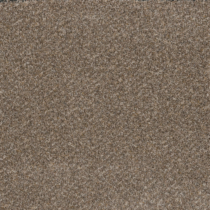 Toast Of The Town Polyester Marble Heights 403 Carpet Textured 1