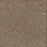 Toast Of The Town Polyester Briarwood 503 Carpet Textured 1
