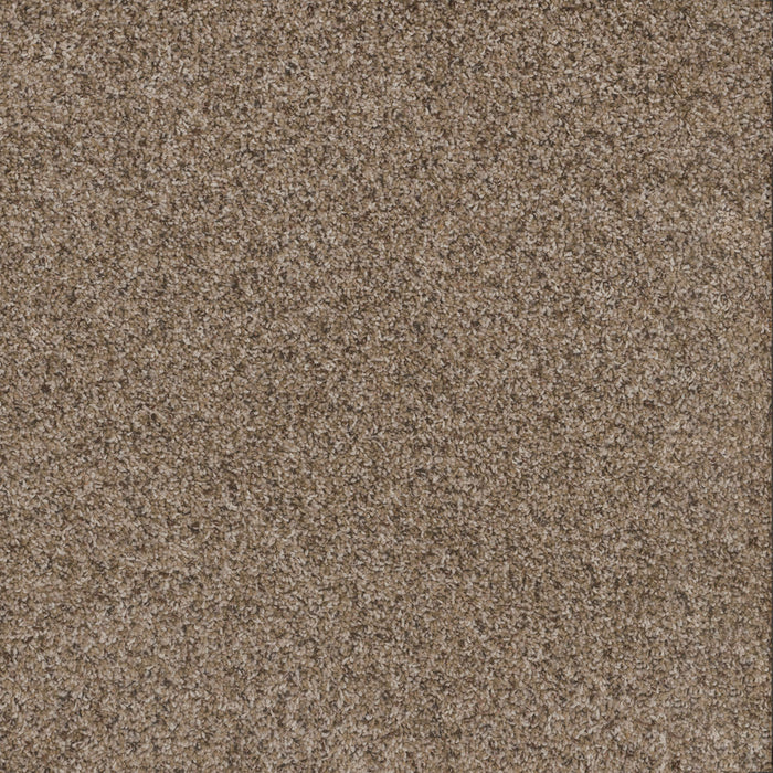 Toast Of The Town Polyester Briarwood 503 Carpet Textured 1