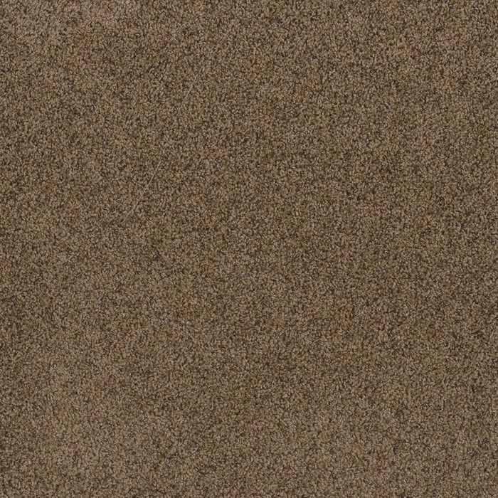 Toast Of The Town Polyester Sandalwood 511 Carpet Textured 1