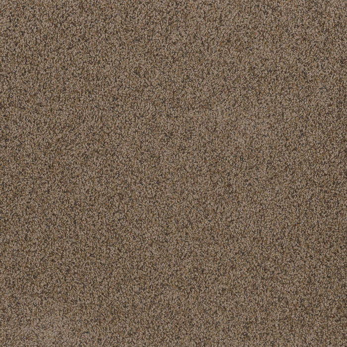 Toast Of The Town Polyester Vallum 531 Carpet Textured 1