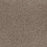 Toast Of The Town Polyester Oyster Bay 536 Carpet Textured 1