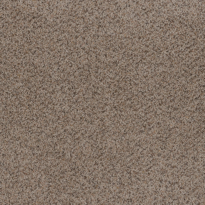 Toast Of The Town Polyester Oyster Bay 536 Carpet Textured 1