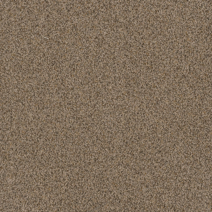Toast Of The Town Polyester Oakfield 690 Carpet Textured 1