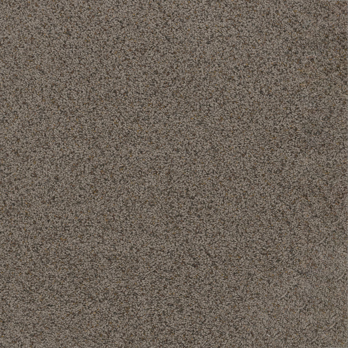 Toast Of The Town Polyester Rugged Suede 808 Carpet Textured 1