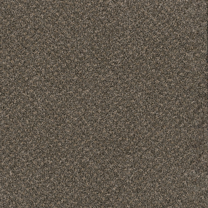 Toast Of The Town Polyester Wrought Iron 872 Carpet Textured 1