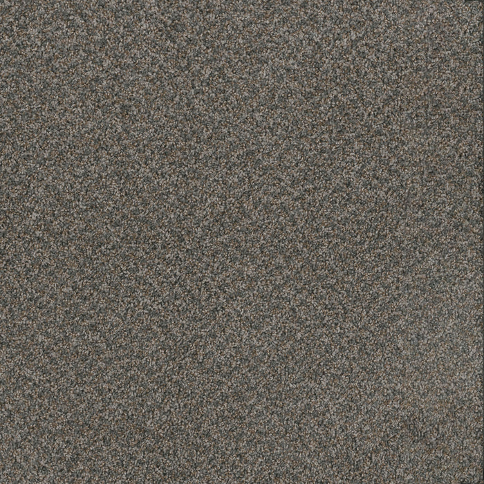 Toast Of The Town Polyester Flagstone 884 Carpet Textured 1