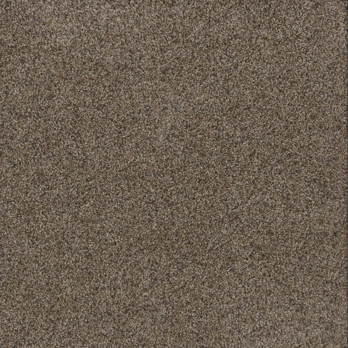 Toast Of The Town Polyester Tanzanite 895 Carpet Textured 1