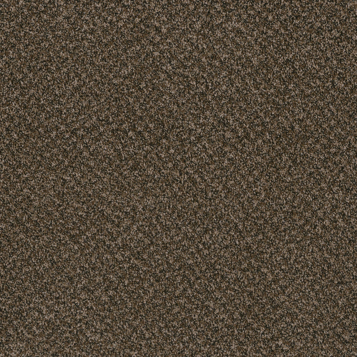 Toast Of The Town Polyester Black & Tan 900 Carpet Textured 1