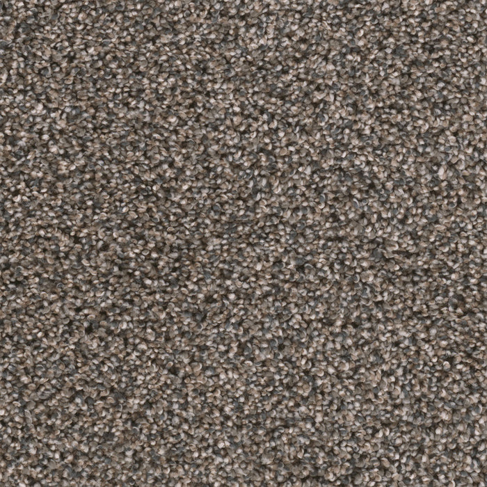 Reflections II Polyester Imperial Sable 134 Carpet Textured 1