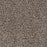 Reflections I Polyester Twig 247 Carpet Textured 1