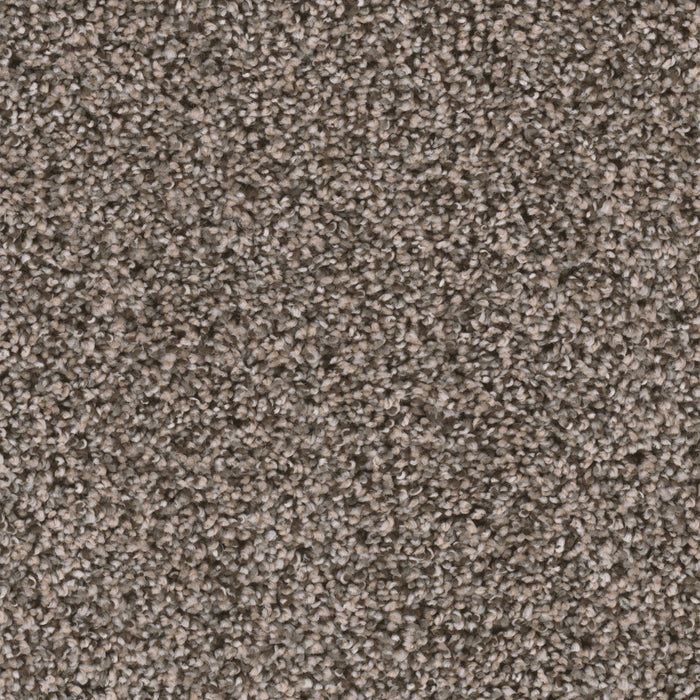 Reflections I Polyester Twig 247 Carpet Textured 1