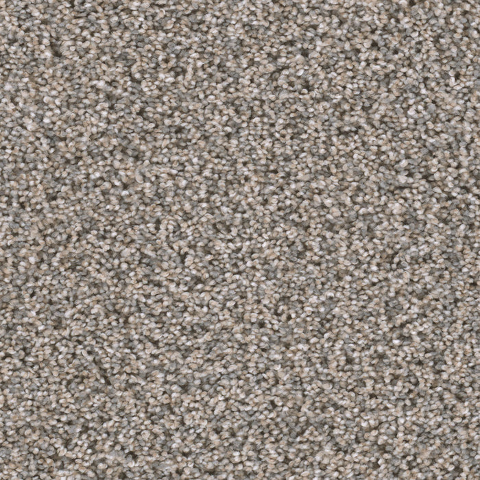 Reflections III Polyester Glimmer 262 Carpet Textured 1