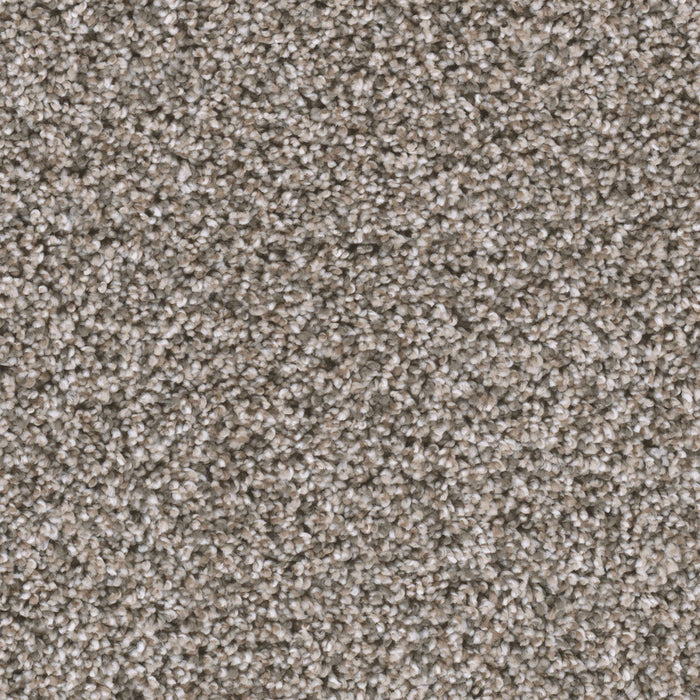 Reflections III Polyester Sageview 327 Carpet Textured 1