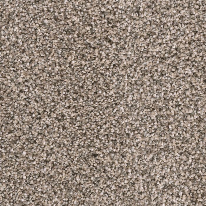 Reflections I Polyester Oxford Stone 359 Carpet Textured 1
