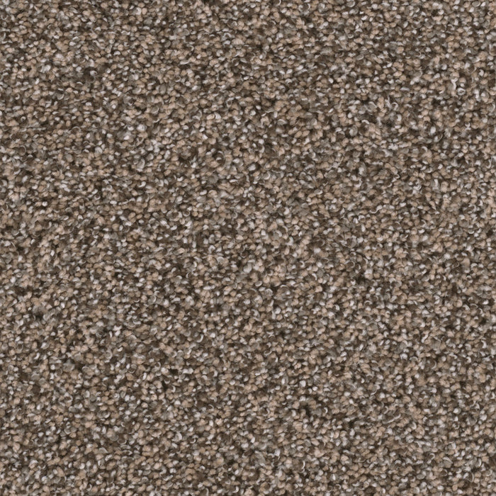Reflections I Polyester Smokey Taupe 381 Carpet Textured 1