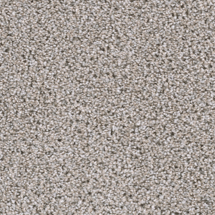 Reflections III Polyester Antique Cameo 386 Carpet Textured 1