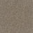 Reflections II Polyester Trail Creek 398 Carpet Textured 1