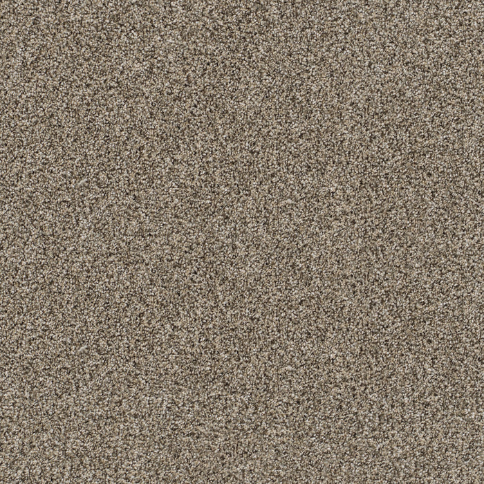 Reflections III Polyester Trail Creek 398 Carpet Textured 1