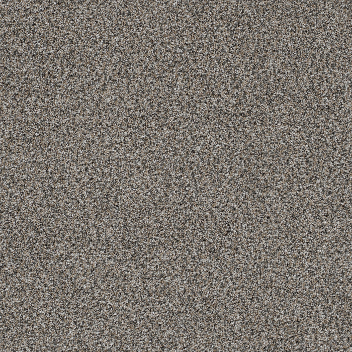 Reflections III Polyester Luna Pearl 399 Carpet Textured 1