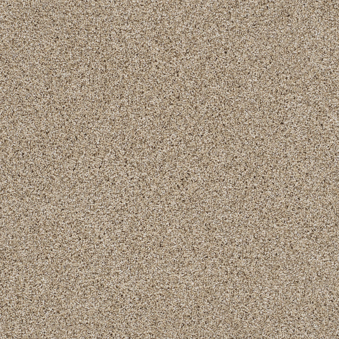 Reflections I Polyester Oxford 720 Carpet Textured 1