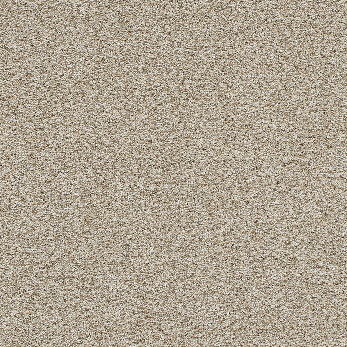 Reflections III Polyester Seashells 758 Carpet Textured 1