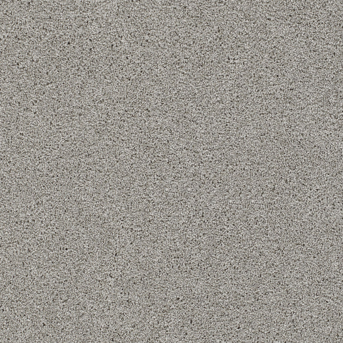 Reflections III Polyester Dove 800 Carpet Textured 1