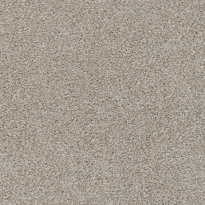 Reflections I Polyester Iron Frost 815 Carpet Textured 1
