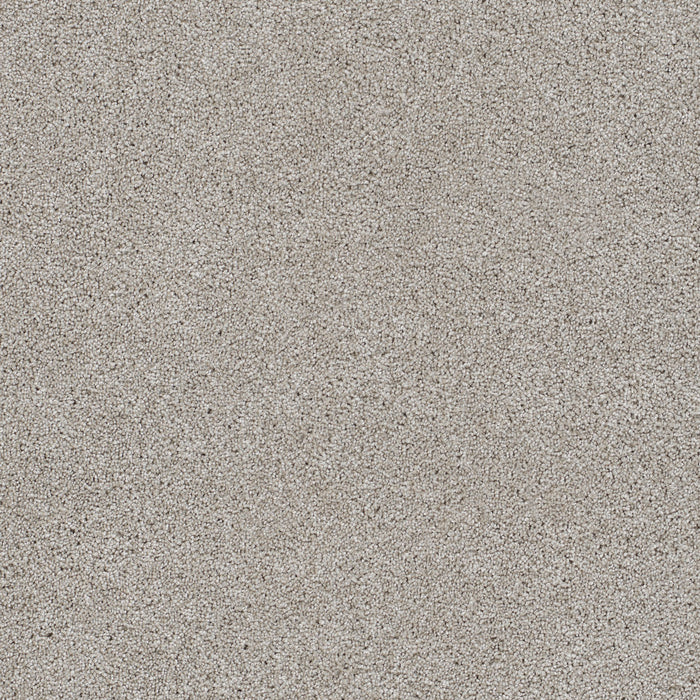 Reflections I Polyester Acadia 828 Carpet Textured 1