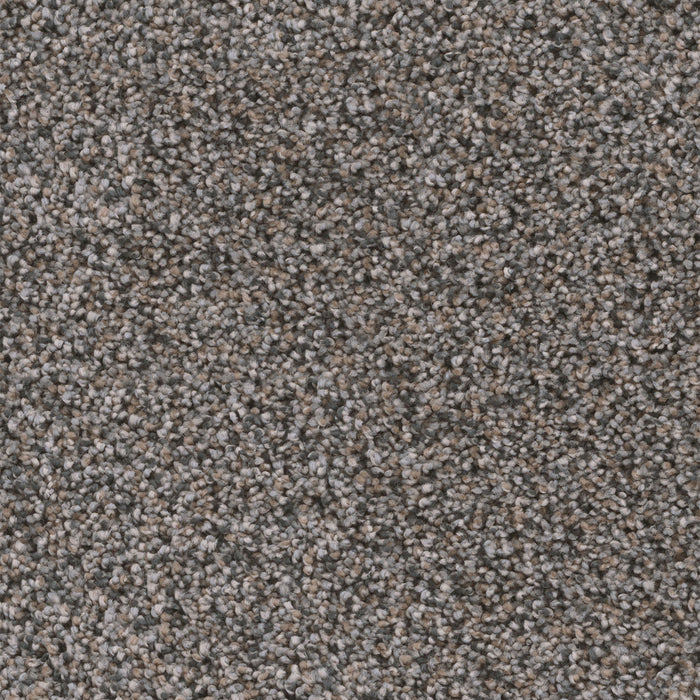 Reflections III Polyester Ash Grove 899 Carpet Textured 1