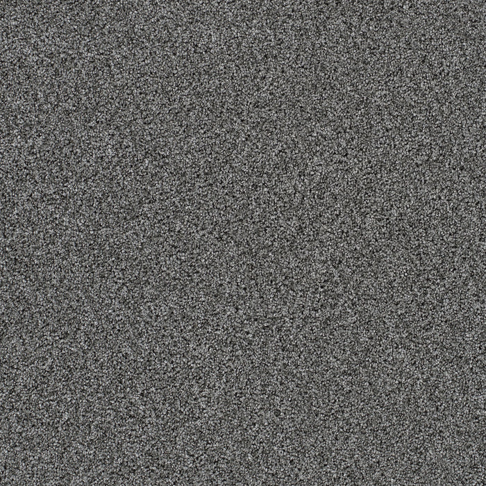 Reflections II Polyester Zinc 959 Carpet Textured 1